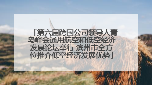 第六届跨国公司领导人青岛峰会通用航空和低空经济发展论坛举行 滨州市全方位推介低空经济发展优势